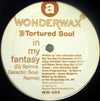 TORTURED SOUL / IN MY FANTASY-DJ SPINNA REMIXES