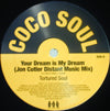 TORTURED SOUL / YOUR DREAM IS MY DREAM-JON CUTLER REMIXES