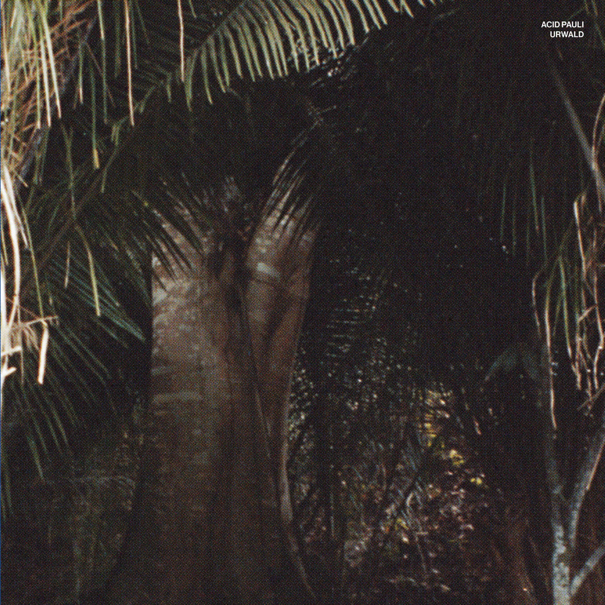 Acid Pauli – Urwald【近日入荷予定】