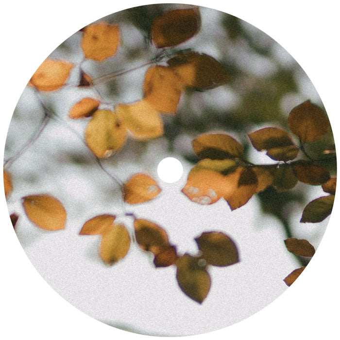 Scrimshire - Bring Our Light To Every Corner【近日入荷予定】