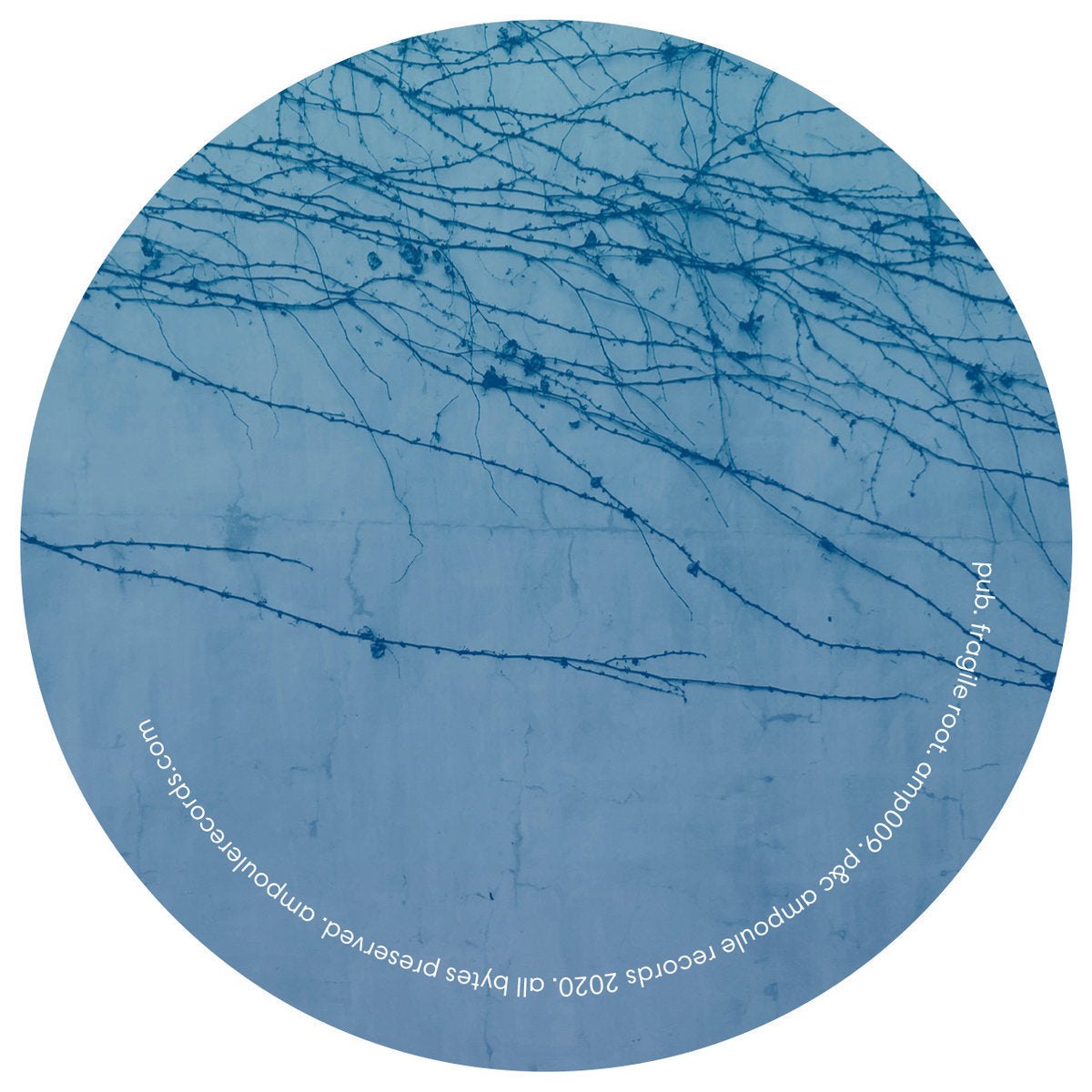 Pub – Summer【近日入荷予定】