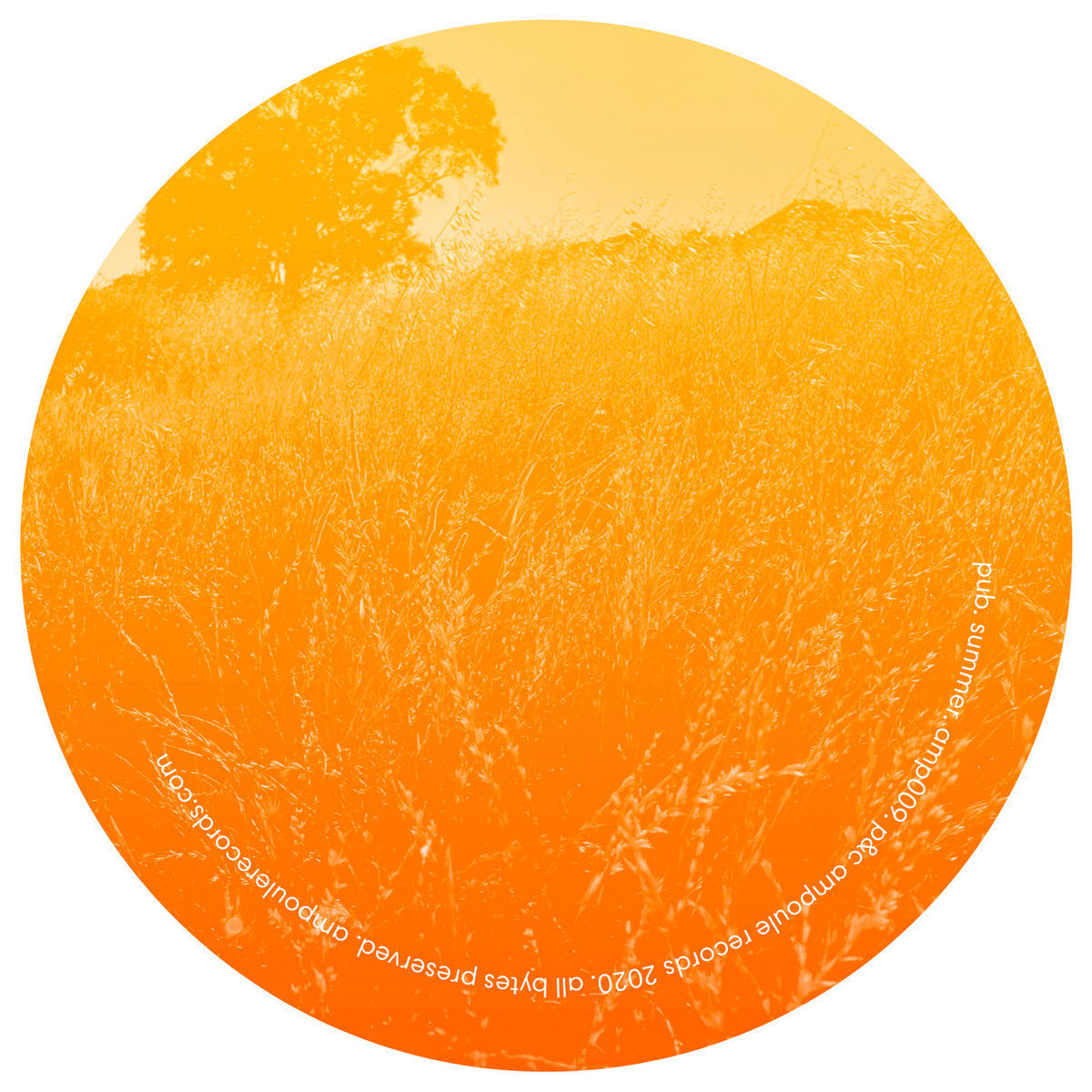 Pub – Summer【近日入荷予定】