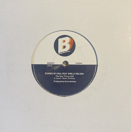 Echoes of Soul feat. Shelly Nelson – My People / The One Thing【近日入荷予定】