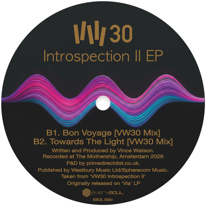 Vince Watson - Introspection II EP【近日入荷予定】