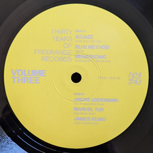 Various – Thirty Years Of Freerange Records (Volume Three)【近日入荷予定】