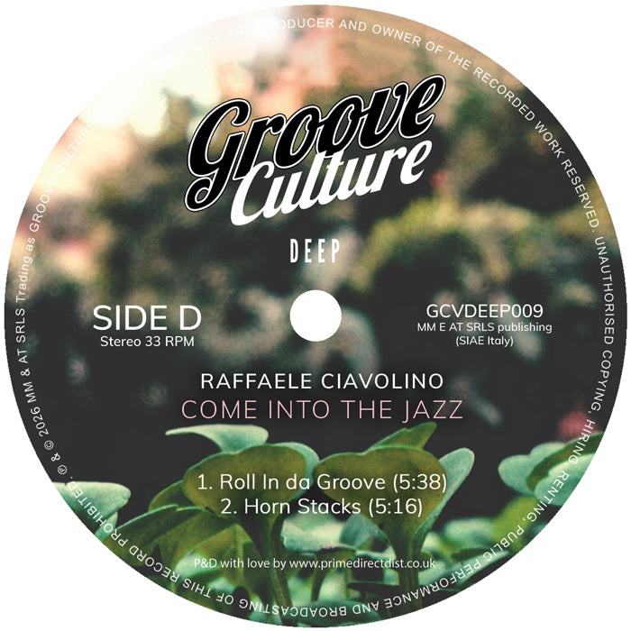 Raffaele Ciavolino – Come Into The Jazz