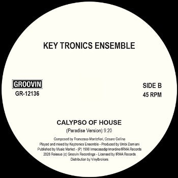 Soft House Company / Key Tronics Ensemble – What You Need / A Little Piano / Calypso Of House【近日再入荷予定】