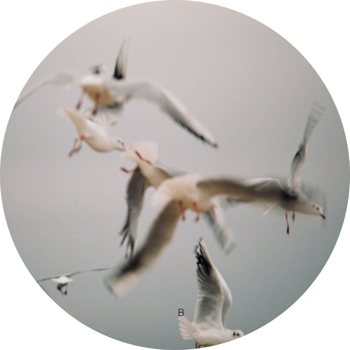 Jon'smu – Agera【近日入荷予定】