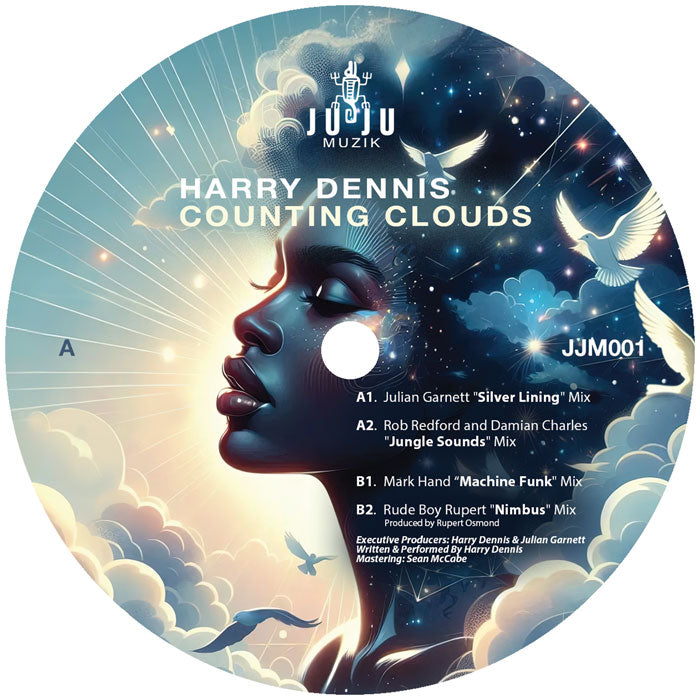 Harry Dennis - Counting Clouds