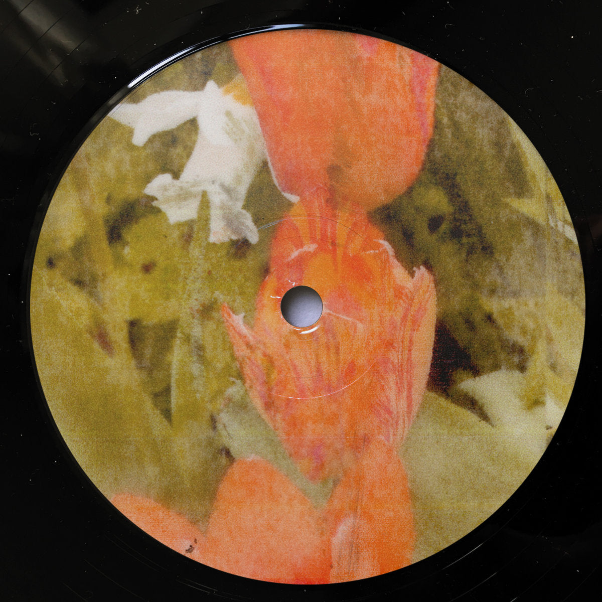 milan93 & 9ICK & Mauricesax - A Garden Between Us【近日入荷予定】