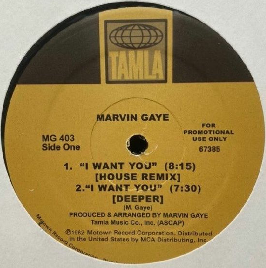 Marvin Gaye - I Want You / Sexual Healing (House Remixes)【近日入荷予定】