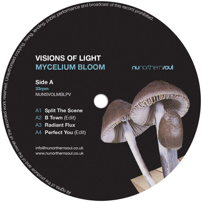 Visions of Light - Mycelium Bloom【近日入荷予定】