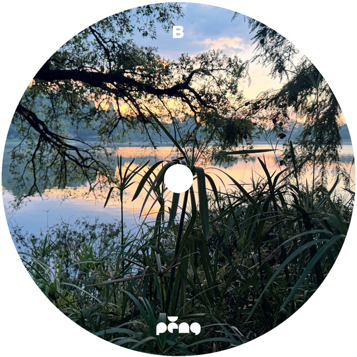 The Rurals & Shamrock - The Rhythm Of Nature