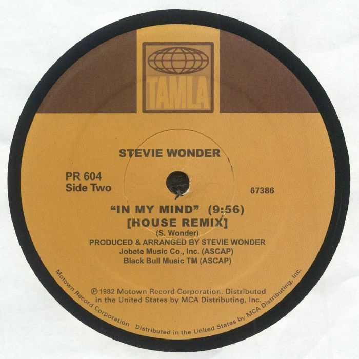 Stevie Wonder – If You Really Loved Me (House remix)