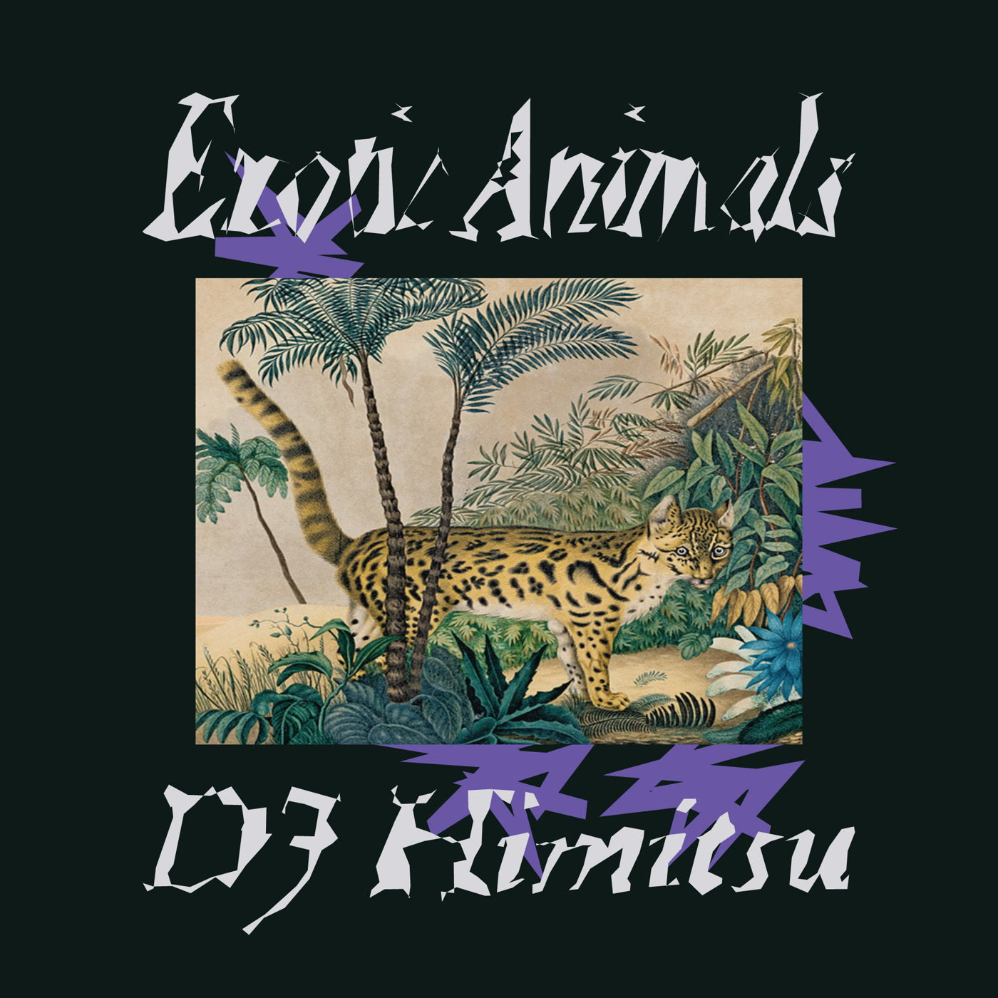 Dj Himitsu – Exotic Animals【近日入荷予定】