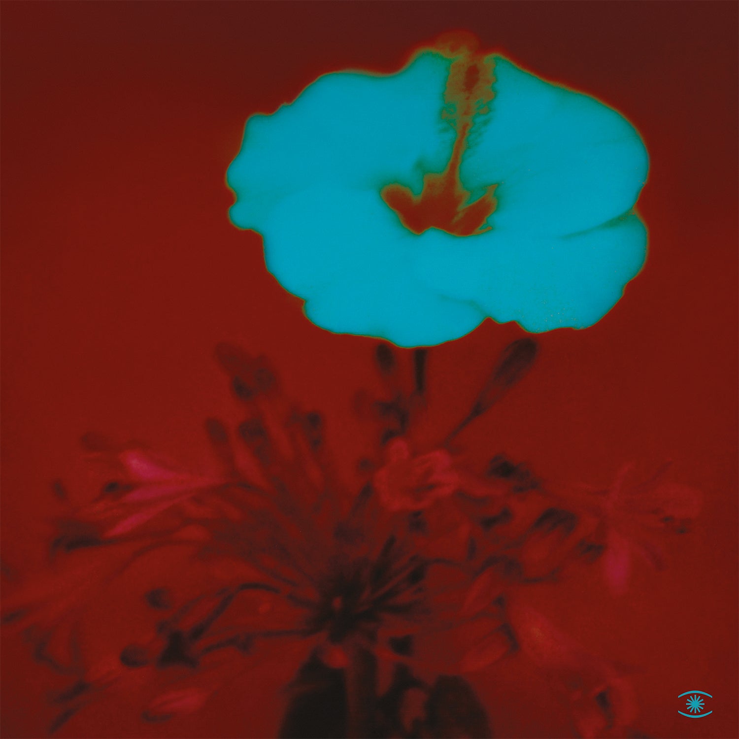 John Beltran - Sunrise And The Way We Live【近日入荷予定】