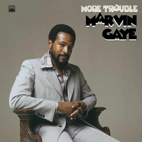 MARVIN GAYE / MORE TROUBLE (LP)
