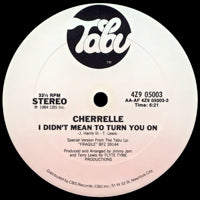 CHERRELLE / I DIDN'T MEAN TO TURN YOU ON