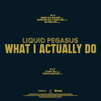 LIQUID PEGASUS / WHAT I ACTUALLY DO