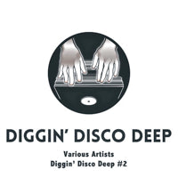 VA / DIGGIN' DISCO DEEP #2 (W-PACK)