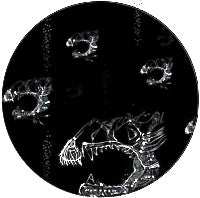 LUKE-HESS / COMMUNITY EP