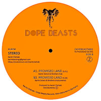 KARIM / PROMISED LAND