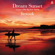 JINWOOK / DREAM SUNSET (DJ JINWOOK & PARK SEUNG BIN) (7 inch)