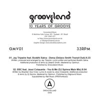 VA / 10 YEARS OF GROOVE (DELANO SMITH / DJ SPINNA / etc REMIXES)