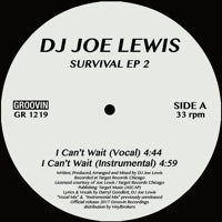 DJ JOE LEWIS / SURVIVAL EP 2