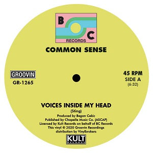 COMMON SENSE / VOICES INSIDE MY HEAD