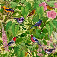 MARK BARROTT / SKETCHES FROM AN ISLAND (2LP)