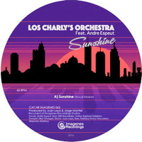 LOS CHARLY'S ORCHESTRA / SUNSHINE (feat. ANDRE ESPEUT) (10 inch)
