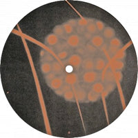 VEX / DMO / VEX  /  DMO