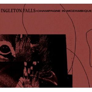 INGLETON FALLS / CHAMPAGNE IN MOZAMBIQUE (LP)