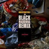 ROBYN / INDESTRUCTIBLE (THE BLACK MADONNA REMIX)