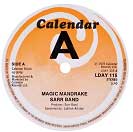 SARR BAND / MAGIC MANDRAKE