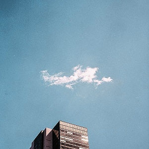 FRED EVERYTHING / BROTHERS & SISTERS