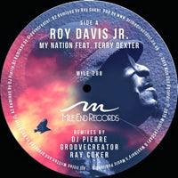 ROY DAVIS JR / MY NATION (feat. TERRY DEXTER)