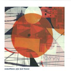 POLLYN / SOMETIMES YOU JUST KNOW-DJ HARVEY / MOODYMANN REMIXES