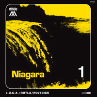 L.U.C.A., ROLTA, POLYSICK / NIAGARA