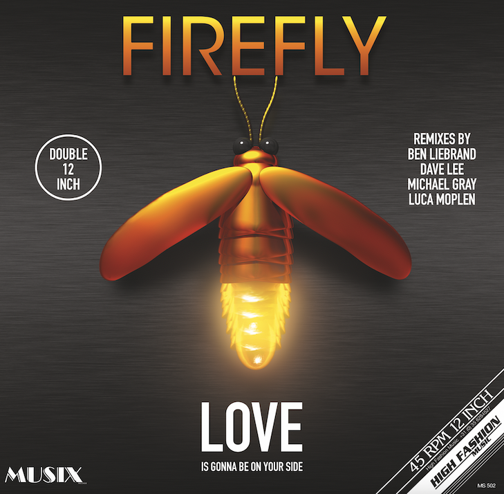 FIREFLY / LOVE IS IS GONNA BE ON YOUR SIDE (REMIXES) (2x12inch)