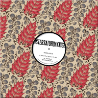 NEBRASKA / LOOK WHAT YOU'VE DONE TO ME EP