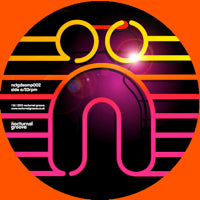 FRANKIE KNUCKLES pres. DIRECTOR'S CUT / SICK ELEKTRIK / LEM / NOCTURNAL GROOVE : VINYL SAMPLER (SUMMER 2013)