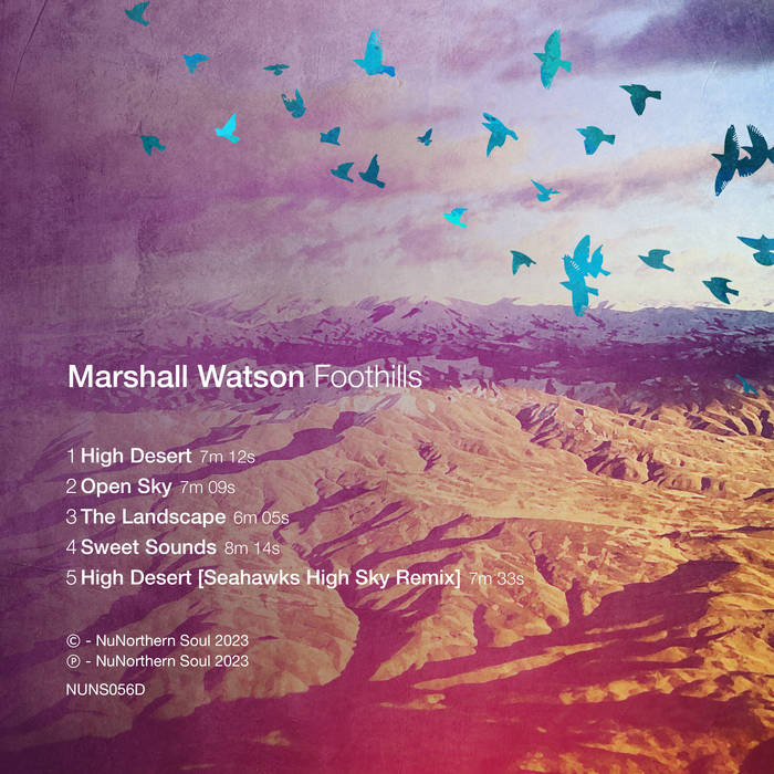 MARSHALL WATSON / FOOTHILLS (EP)