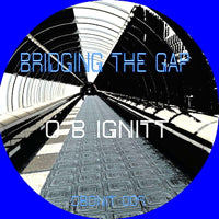 OB IGNITT / BRIDGING THE GAP