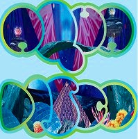 SEAHAWKS / AQUADISCO(W-PACK)