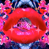 SEAHAWKS / ADVENTURES IN THE LAND OF WOO