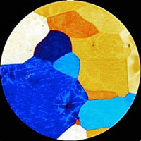 GOLDEN RETRIEVER / CAPABLANCA