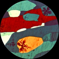 NAME IN LIGHTS / ALL INCLUSIVE