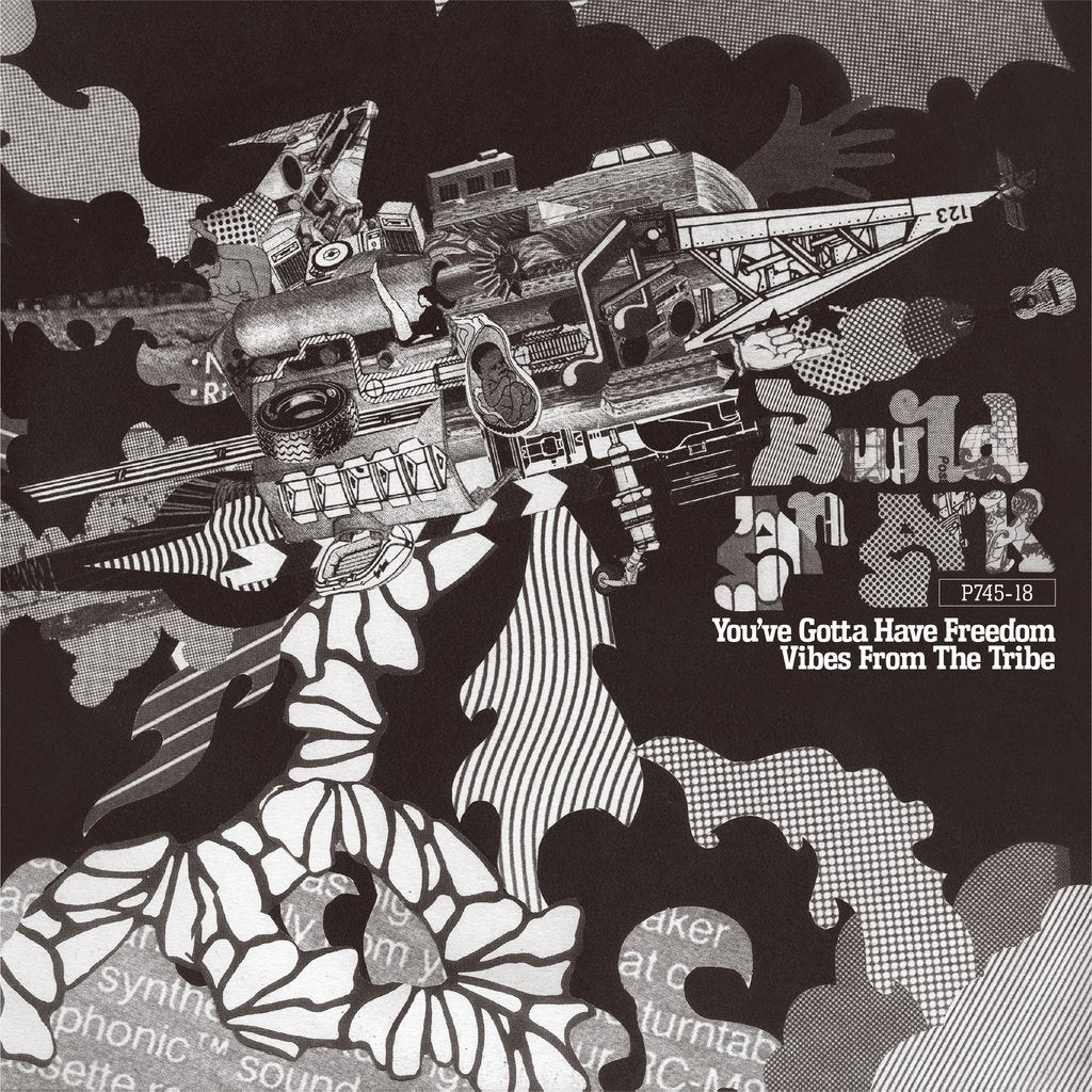 BUILD AN ARK / YOU'VE GOTTA HAVE FREEDOM (7 inch)